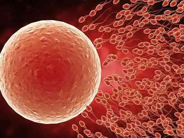 促排卵泡长得慢原因是什么(图1)