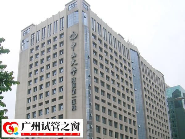 中山一院第一二三代试管费用是多少？(图1)