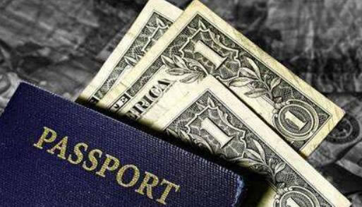 哪些行为会增加海外生子被遣返的几率？有哪些方法可以避免被遣返？(图1)